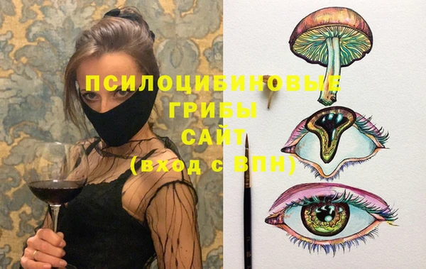2c-b Ельня