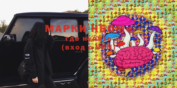 2c-b Ельня