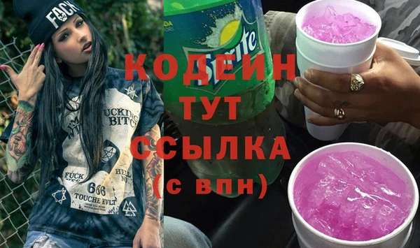 2c-b Ельня