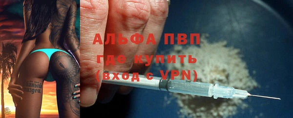 PSILOCYBIN Елабуга