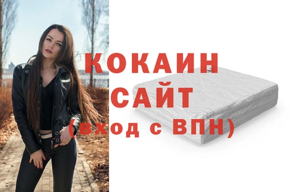 2c-b Ельня