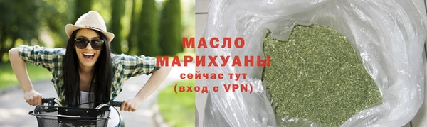 2c-b Ельня