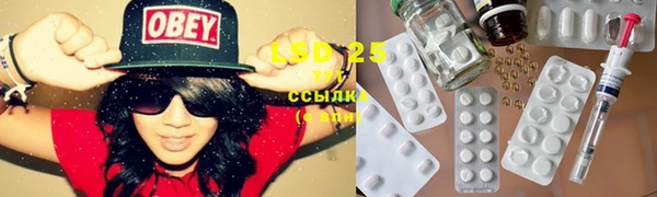 ГАЛЛЮЦИНОГЕННЫЕ ГРИБЫ Елизово