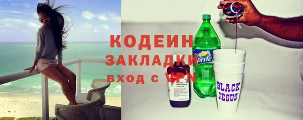 2c-b Ельня