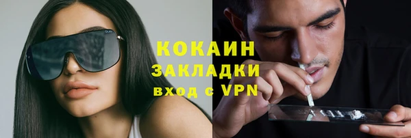 ГАЛЛЮЦИНОГЕННЫЕ ГРИБЫ Елизово
