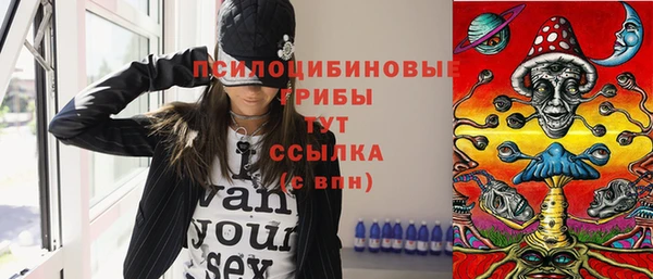 PSILOCYBIN Елабуга
