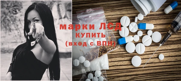 PSILOCYBIN Елабуга