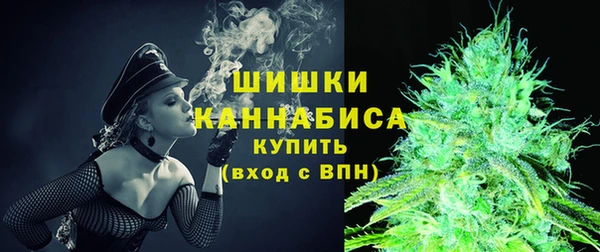 PSILOCYBIN Елабуга