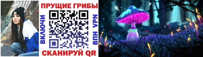 Псилоцибиновые грибы Psilocybine cubensis Октябрьский