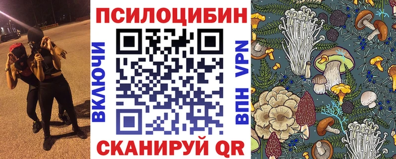 купить   Октябрьский  ссылка на мегу ONION  Псилоцибиновые грибы Magic Shrooms 
